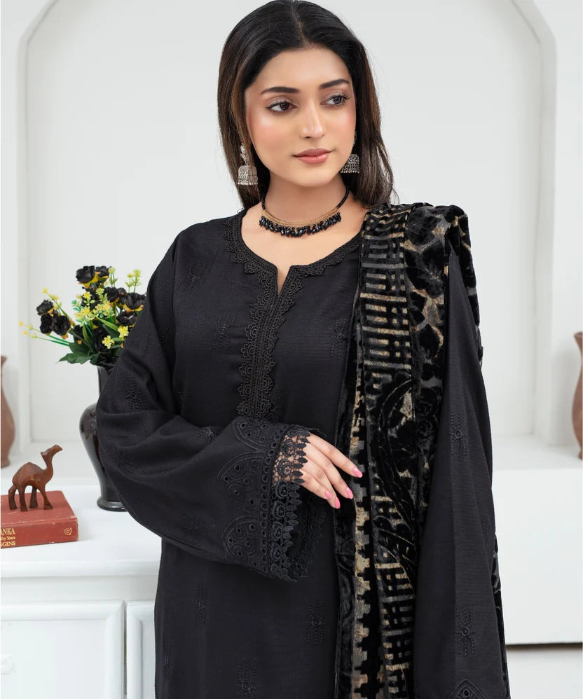 Chikankari Embroidered Dhanak Suit with Aplic Work & Velvet Shawl | 2107