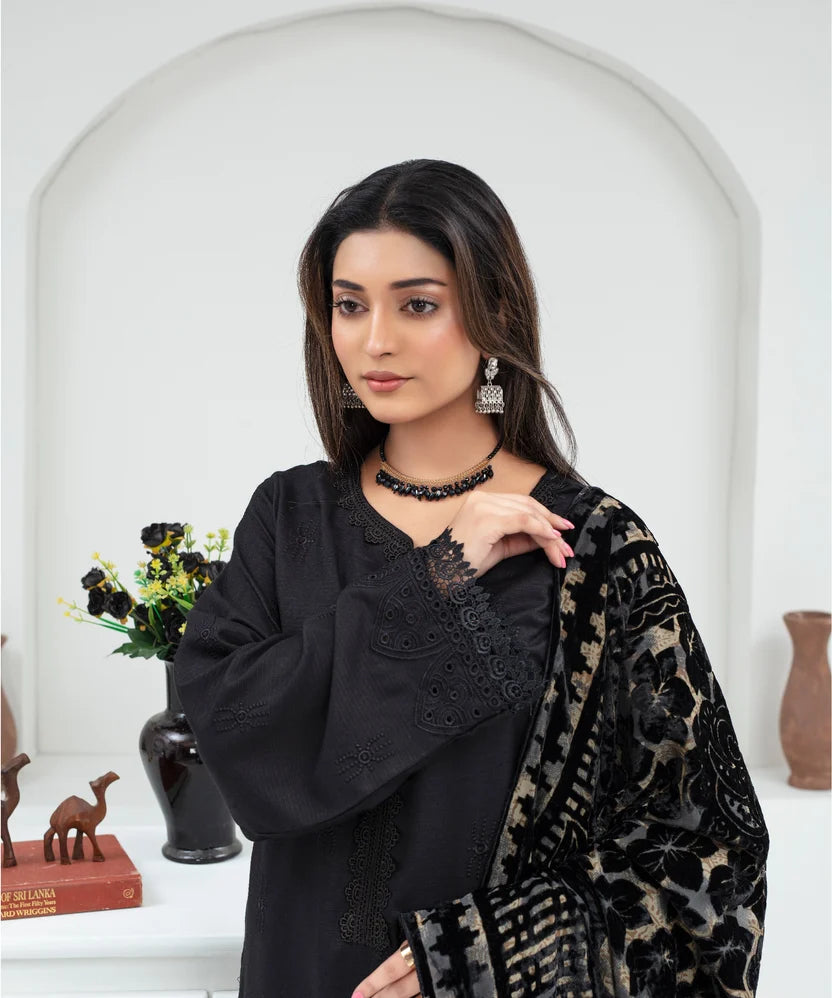 Chikankari Embroidered Dhanak Suit with Aplic Work & Velvet Shawl | 2107
