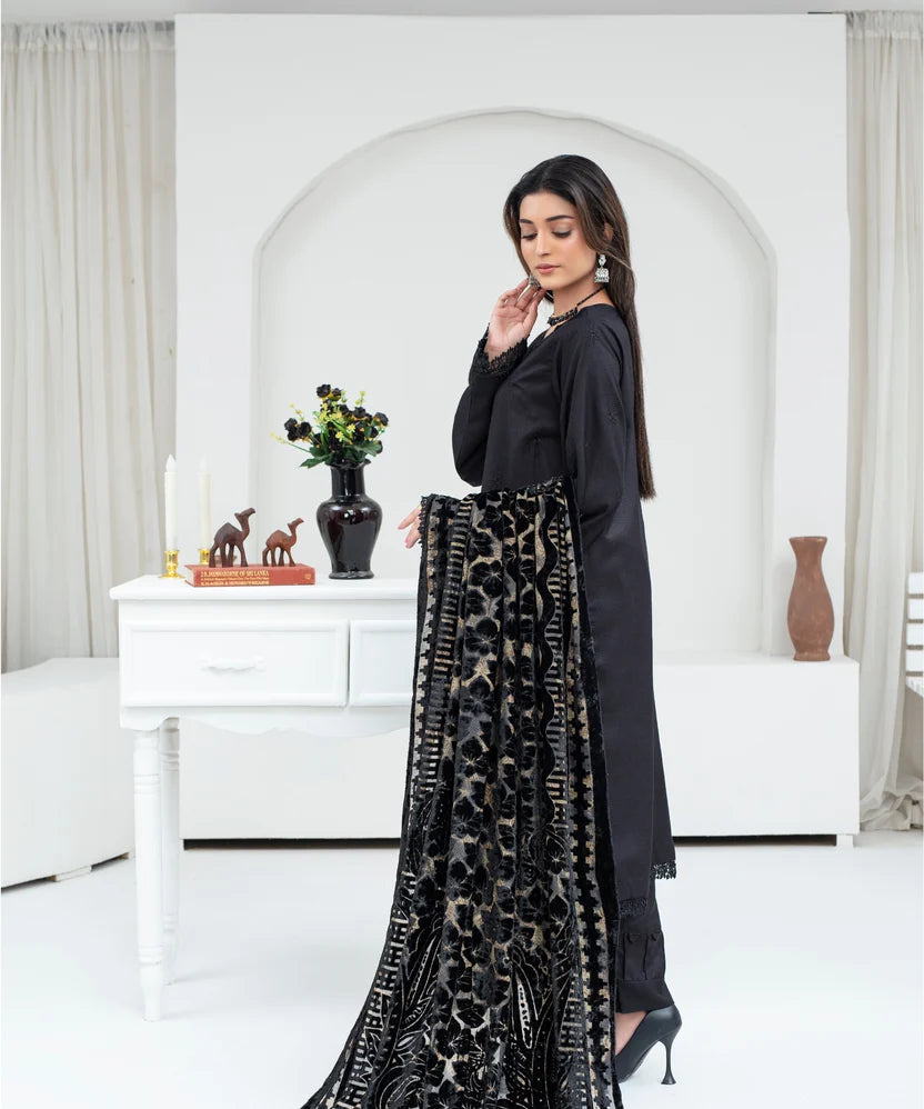 Chikankari Embroidered Dhanak Suit with Aplic Work & Velvet Shawl | 2107
